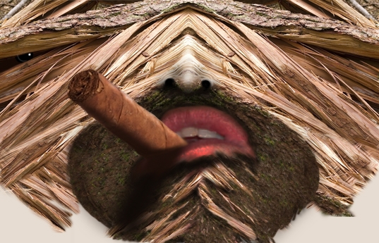 Creation of Woodstock: Step 8